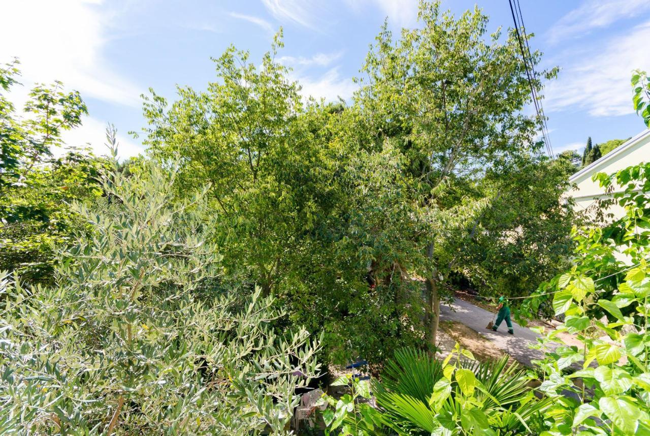 Apartments Massimo โรวีน ภายนอก รูปภาพ